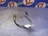 Лямбда-зонд для Renault Kangoo  KWO  K4M831     0258006971  Лямбда-зонд для Renault Kangoo KWO  K4M831     0258006971