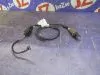 Лямбда-зонд для Volkswagen Sharan 7N1  CAV     03c906262ah 