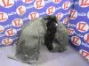 Подкрылок для Volvo V60 FW45  B4164T  перед лево  30744863 