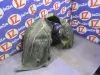 Подкрылок для Volvo V60 FW45  B4164T  перед лево  30744863 