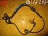 Датчик abs для Toyota Ipsum           Датчик abs для Toyota Ipsum