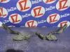 Петли капота для Citroen DS 4 N  EP6CDTMD     3687515780 Коричневый