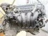 Двигатель для Toyota Ipsum  ACM21  2AZ-FE       Двигатель для Toyota Ipsum ACM21  2AZ-FE