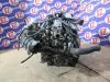 Двигатель в сборе для Honda Integra DB7  B18B     1304148 