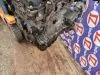 Двигатель для Citroen C4 B7  EP6      
