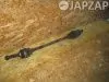 Привод для Subaru Legacy  BP BL5 BL9 BLE BP5 BP9 BPE  EJ20X  зад     Привод для Subaru Legacy BP BL5 BL9 BLE BP5 BP9 BPE  EJ20X  зад