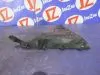 Кронштейн бампера для Audi A4 B7  BFB  зад лево  8e9807453 Черный