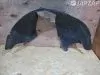 Подкрылок для Volvo XC90 C_59    перед право  08620531 
