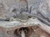 Ступица для Audi A4 8ED  BFB  перед право   
