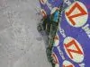 Кронштейн бампера для Volvo V70 BW48  B4116T  зад лево  31265327 