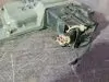 Блок управления акпп для Nissan Teana J32  VQ25DE      