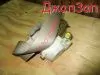 Ремень безопасности для Toyota Camry  ACV30  2AZ-FE  перед право  73210-33300-e0  Ремень безопасности для Toyota Camry ACV30  2AZ-FE  перед право  73210-33300-e0