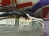 Панель приборов для Mazda Atenza GYEW  LF (LF-VE)     6ag31fb 