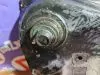 Балка поперечная для Nissan Note E11  HR15DE  перед    