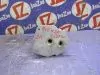 Радиатор охлаждения двигателя для Mazda Atenza GJ2FW  SH-VPTR      