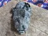Акпп для Audi A4 B8  CDH      Белый
