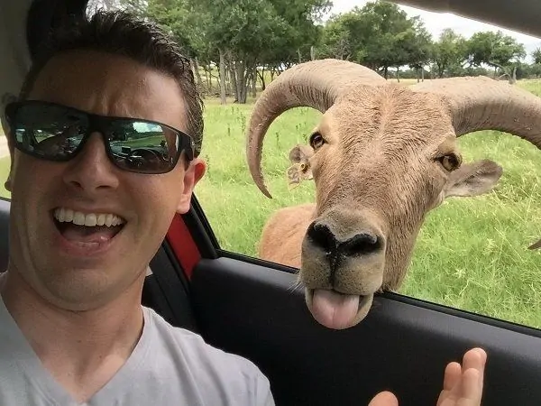 Автомобиль без стекла в двери