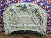 Капот для Bmw X1 E84  N46B20      