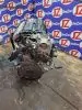 Двигатель в сборе для Honda Freed GB3  L15A      