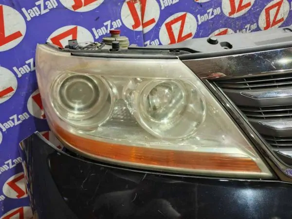 Ноускат Honda Elysion RR1