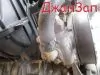 Гидроусилитель руля для Toyota Ipsum Picnic ACM21  2AZ-FE       Гидроусилитель руля для Toyota Ipsum ACM21  2AZ-FE