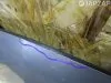 Капот для Honda Fit Jazz GD  L13A  перед    Серебро Капот для Honda Fit GD  L13A  перед    Серебро